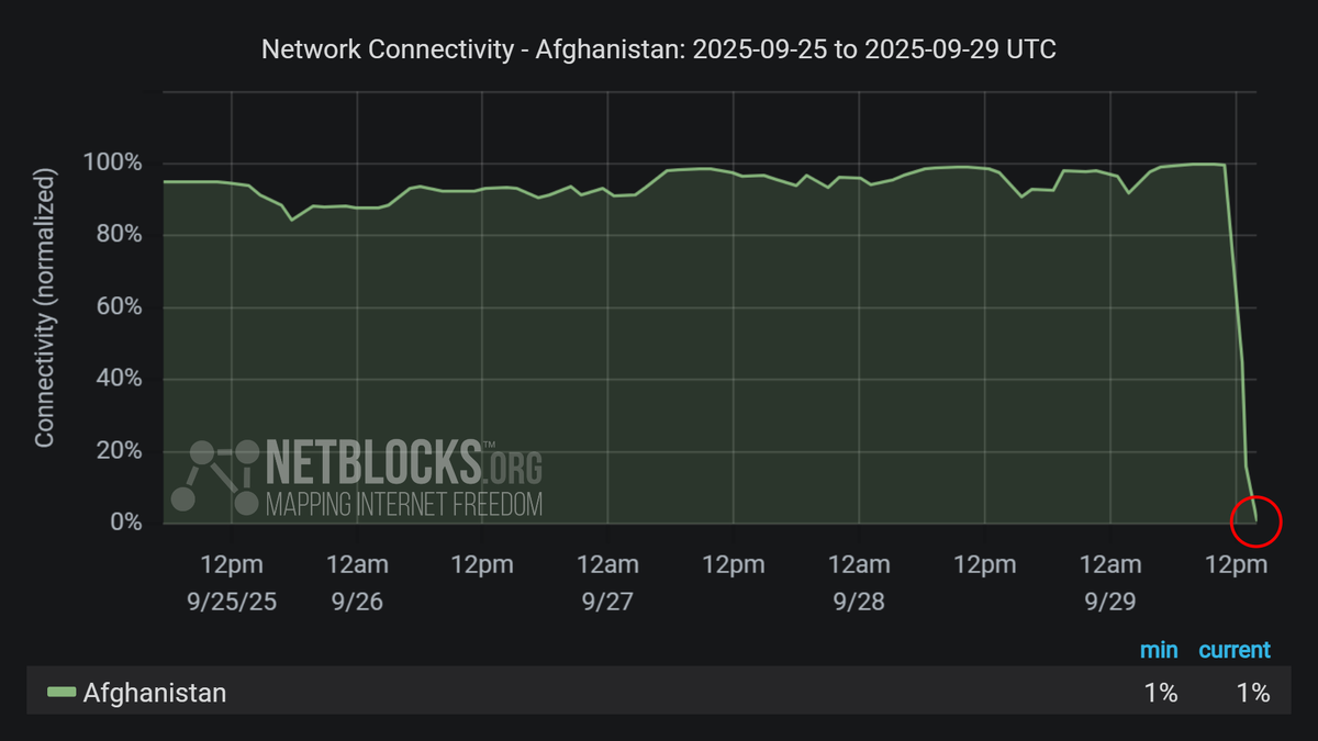 Источник: rumafi.org