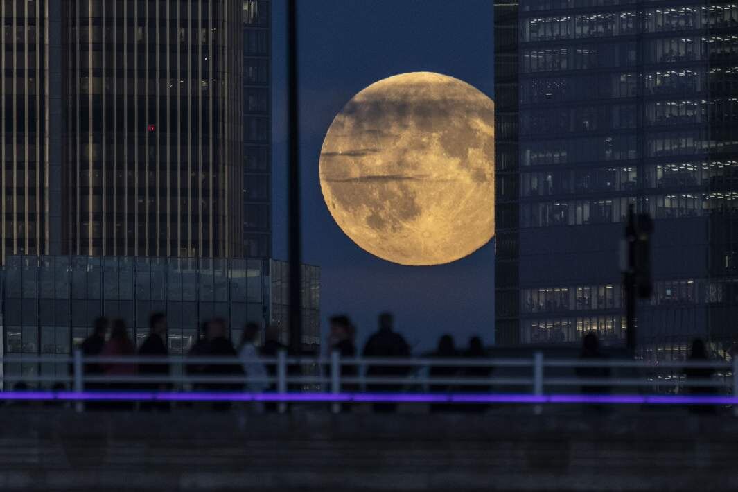 Фото: Global Look Press/Stephen Chung