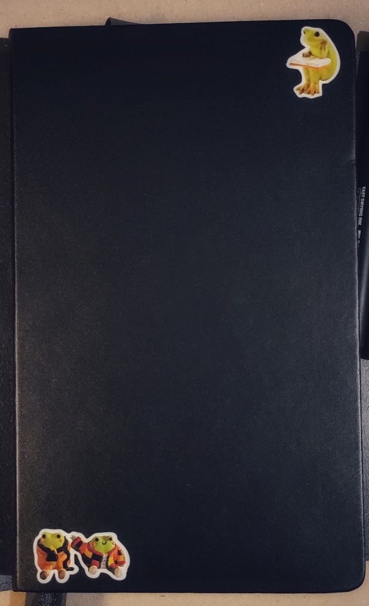 Обложка  моего текущего личного дневника