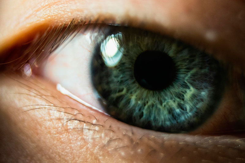     Фото: pexels.com