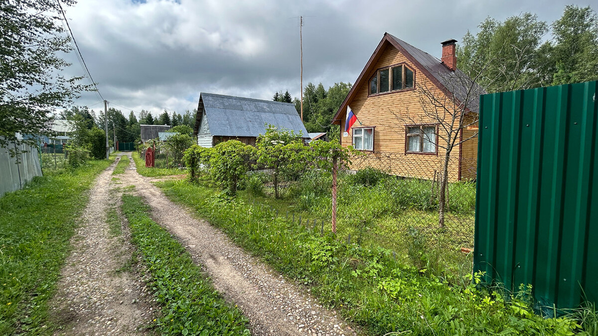 До 200 тысяч для дачников: как оформить помощь на развитие хозяйства