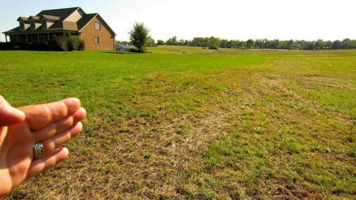 В собственности или пользовании есть земельный участок для ведения ЛПХ