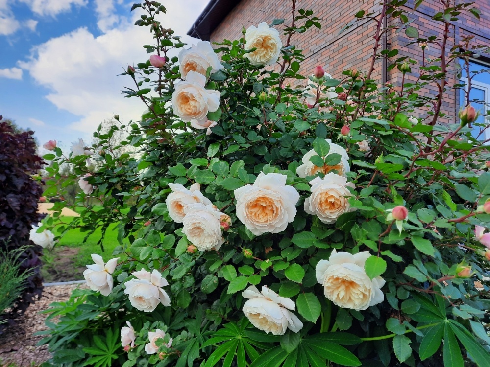 Фото: Нина Михайлова