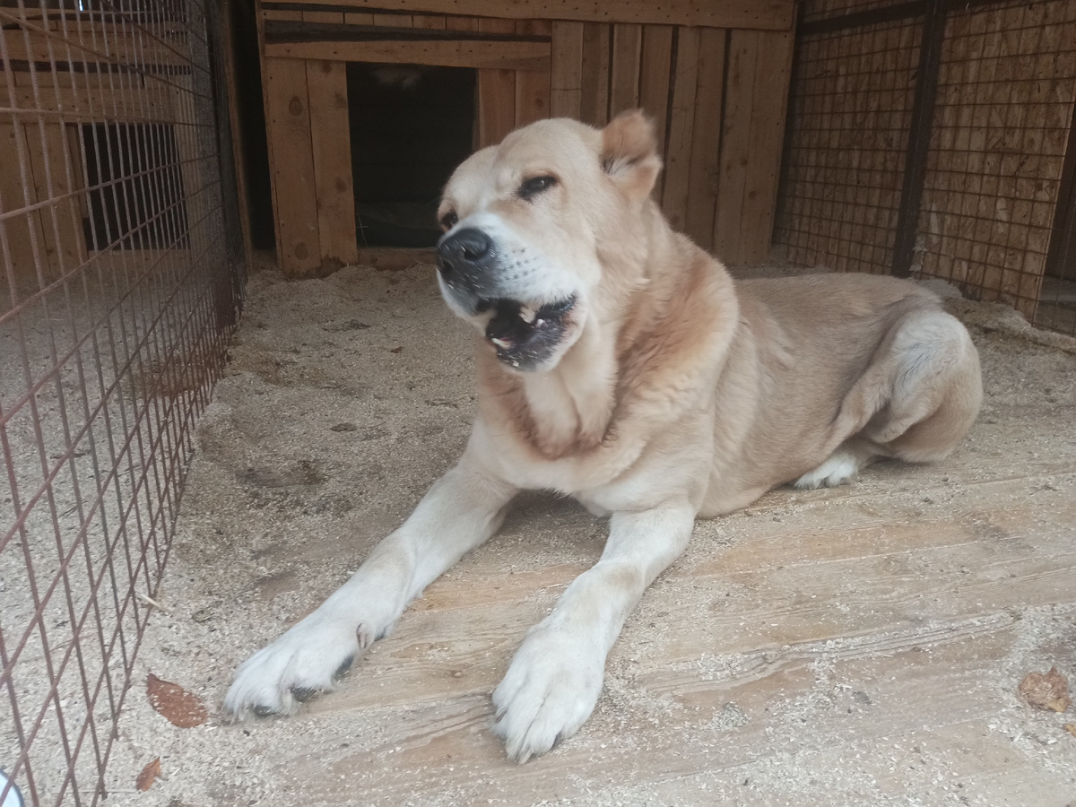 Ох и вкусные эти вкусняшки)))