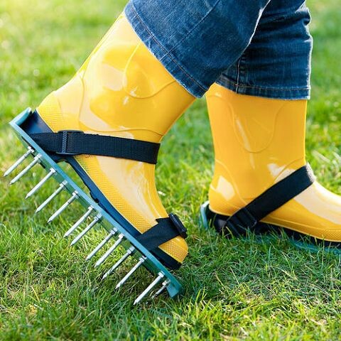 Аэрация. Обувь с шипами для газона