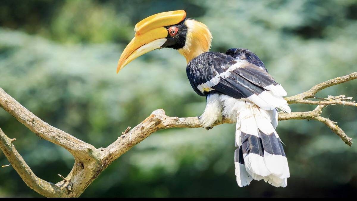    Фото: Shutterstock