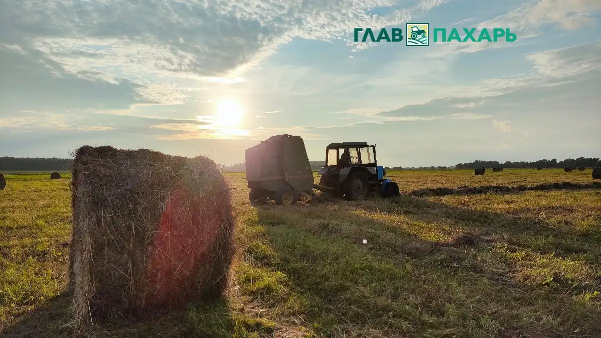 Фото: © Артем Борисов / Glavpahar.ruФотография носит иллюстративный характер