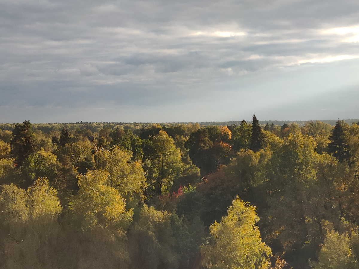 Фото автора 