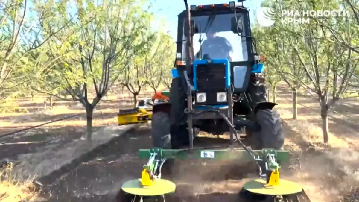 Фото: Скриншот с видео «РИА Новости Крым»Комбайны из США помогут убрать урожай миндаля в Крыму