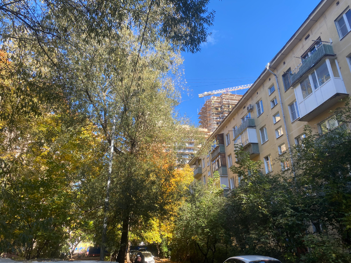 Эта фотография как ничто другое описывает преемность истории