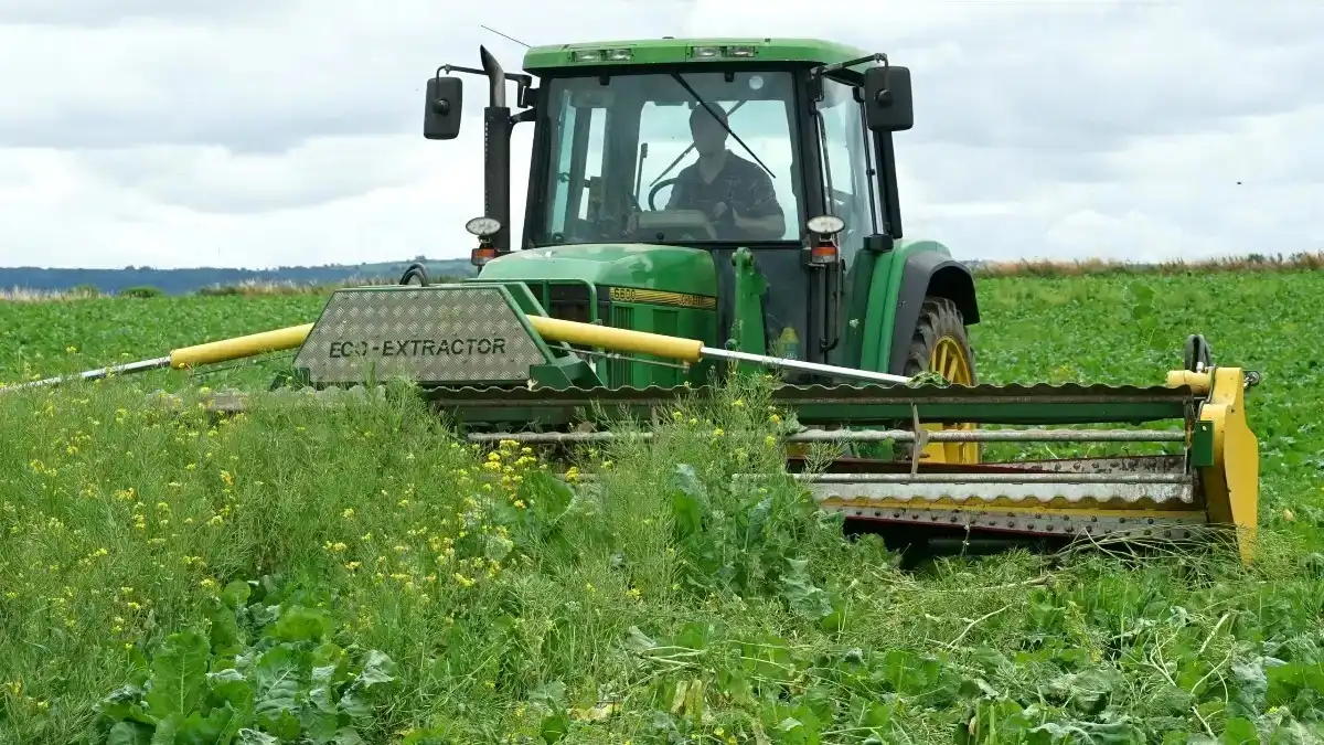 Фото: agriland.ieEco-Extractor — навесное устройство из Ирландии для тракторов, которое выдергивает сорняки с корнями (фото иллюстративное)