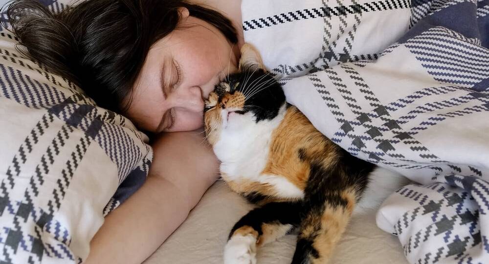 😼Почему нельзя спать в одной кровати с кошкой?