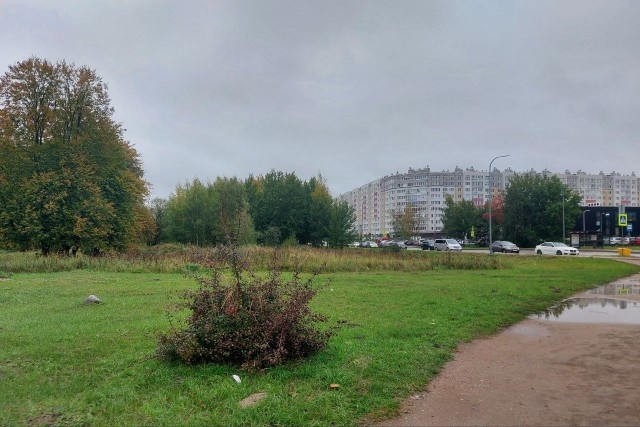   Фото из архива Калининград.Ru