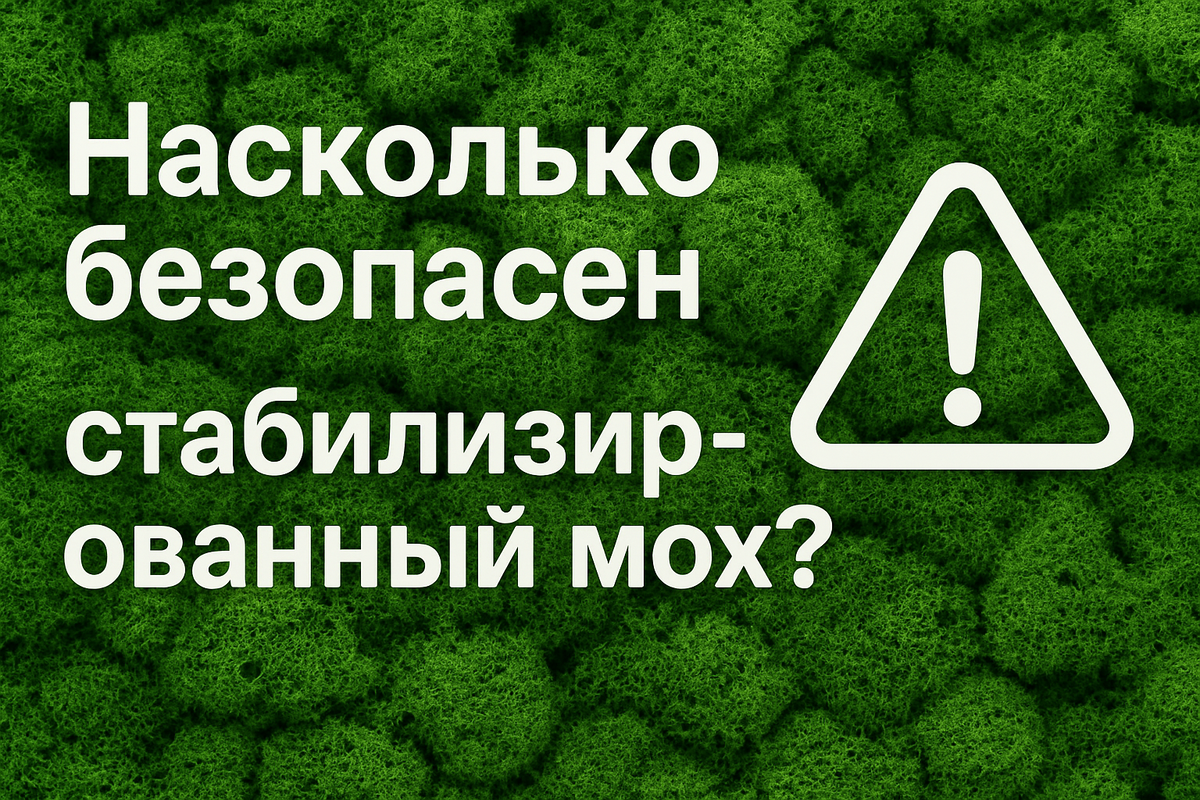 Стабилизированный мох- трендовый декор. Но насколько он безопасен ? Разбираем всё по полочкам.