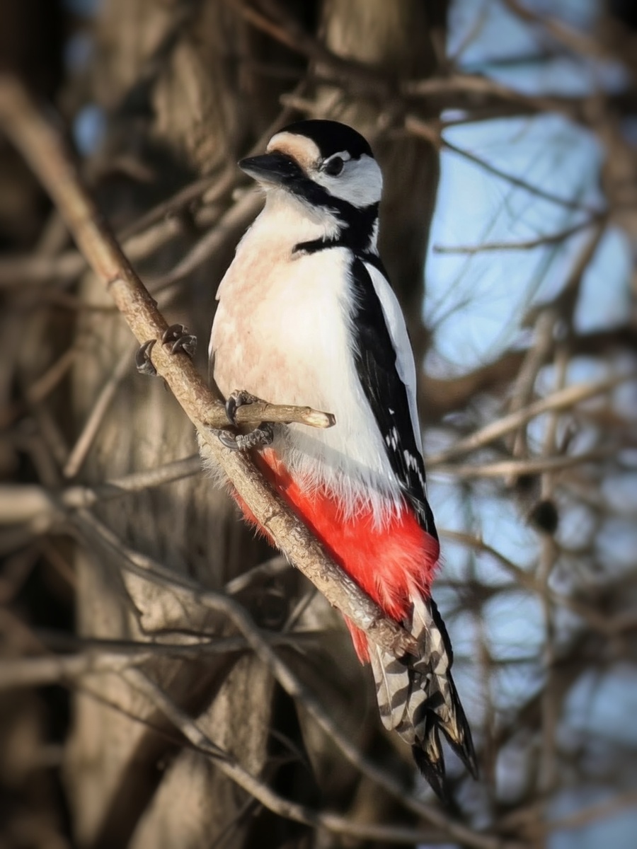 Фото автора канала "Удивительный мир живой природы "