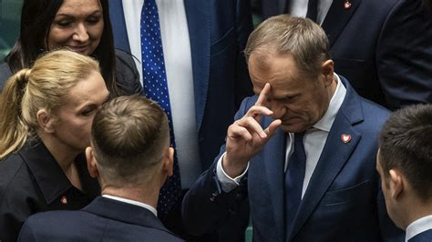 Дональд Туск, фото из сети.