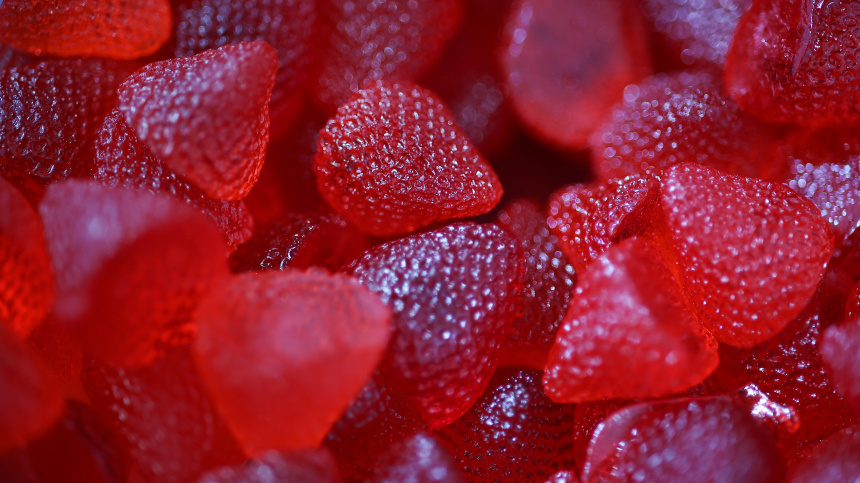    Фото: © РИА Новости/Виталий Тимкив