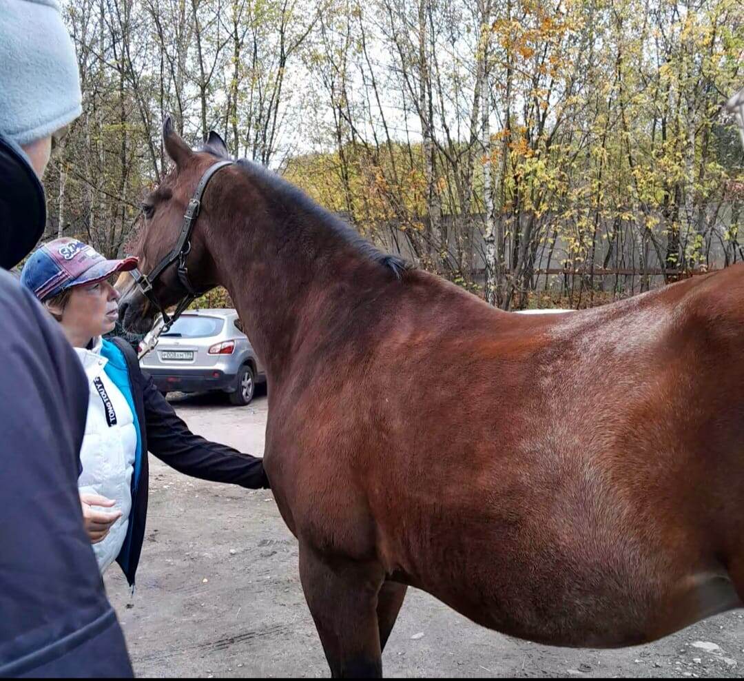 Изучаем экстерьер