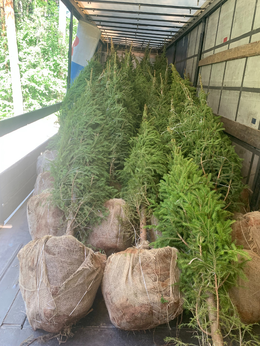 mB- ком в мешковине