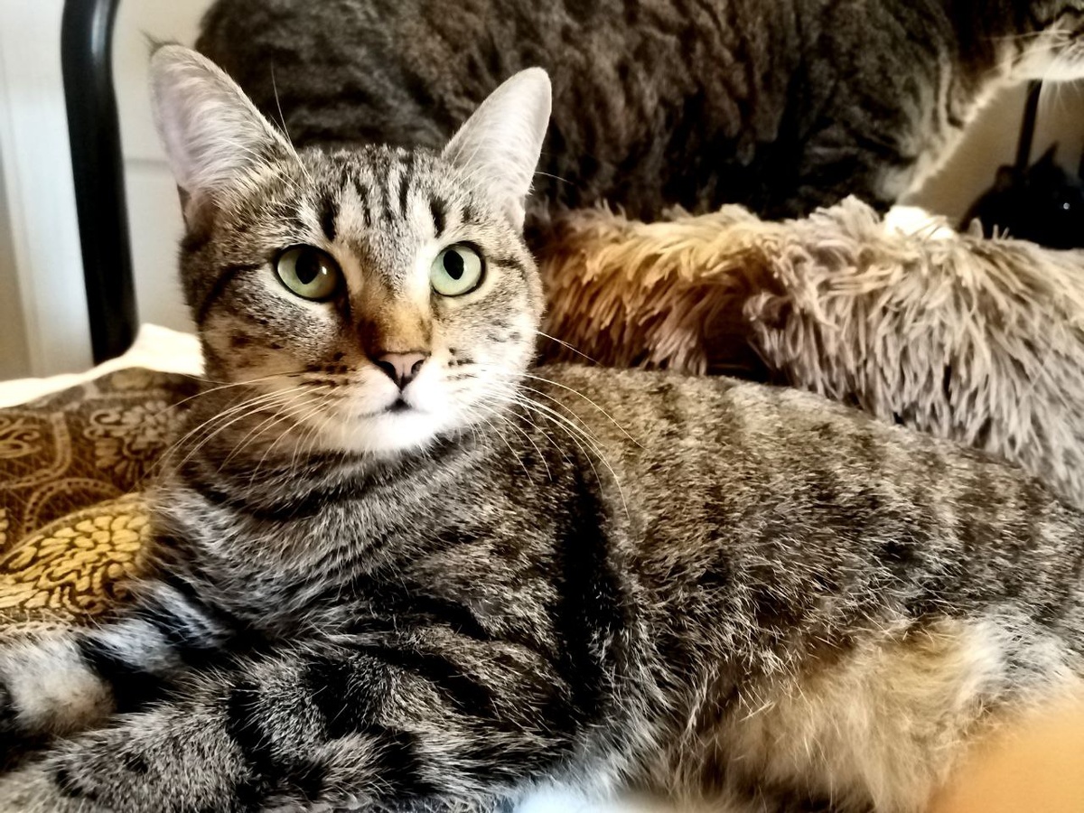 Я просто так что ли на свет родилась? Ясень день! Править!