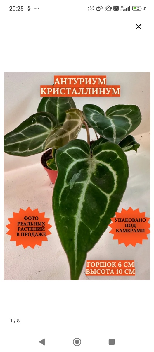 Карточка товара