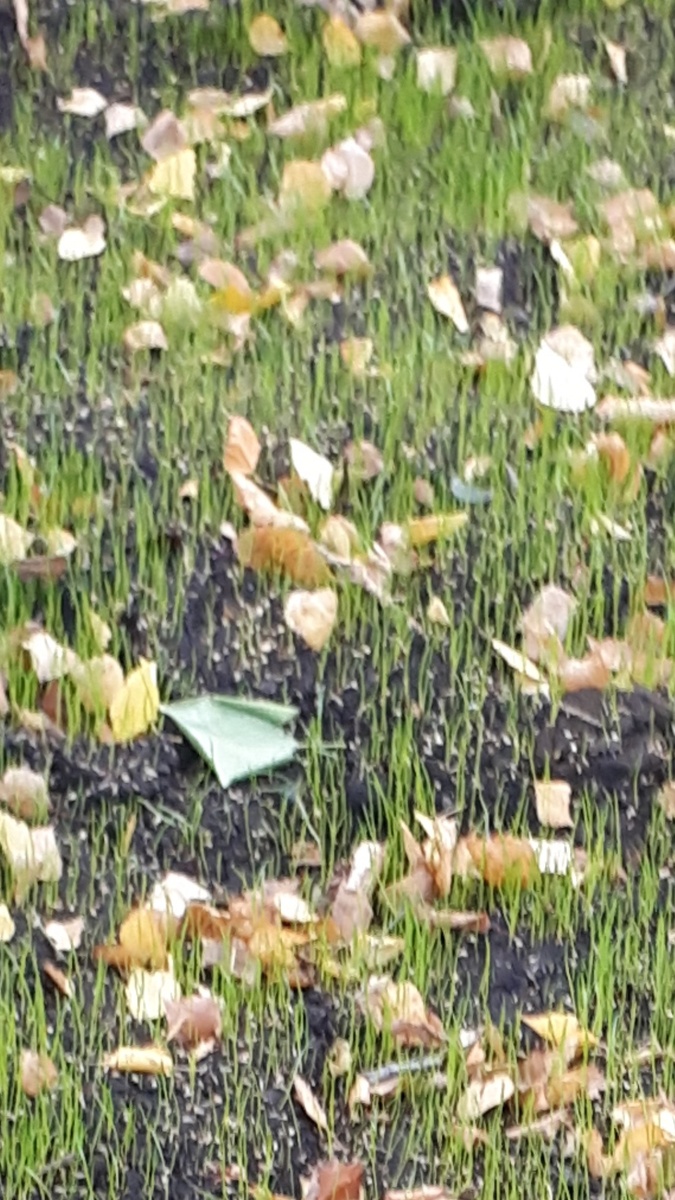 Фото автора 30.09.2025г.