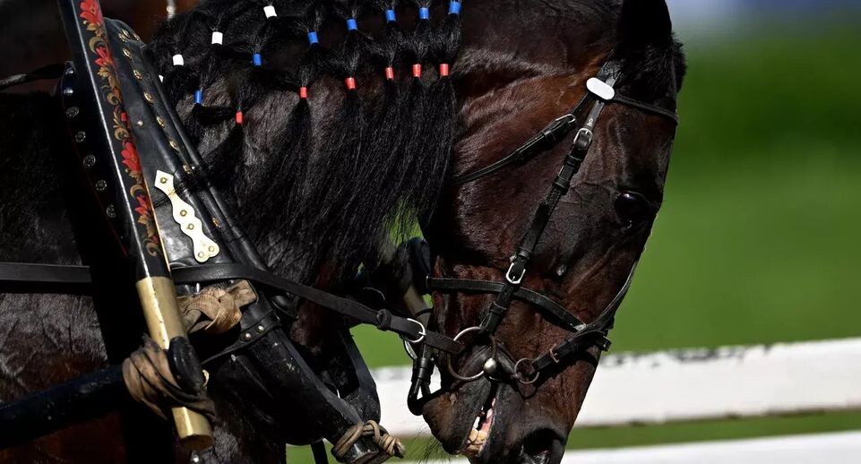    РИА «Новости»