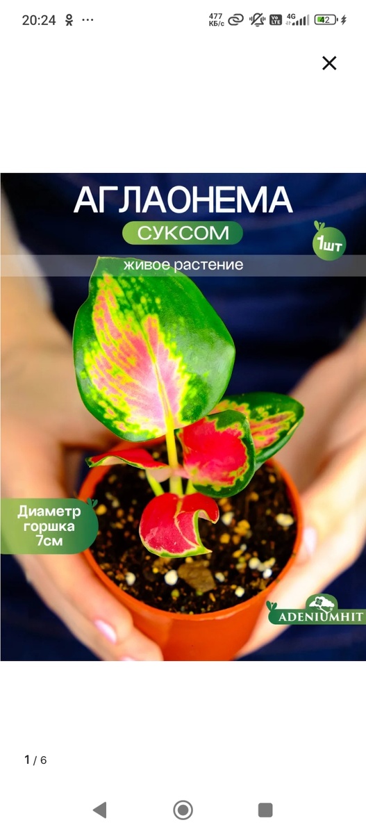 Карточка товара