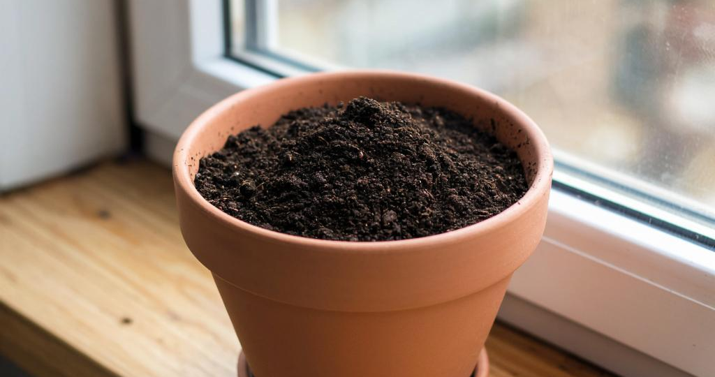 Оживляем грунт в цветочном горшке: практическое руководство для городского цветовода!