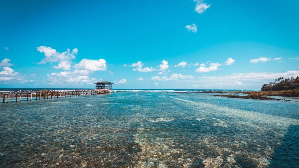    Фото: xiboxo/Shutterstock/Fotodom