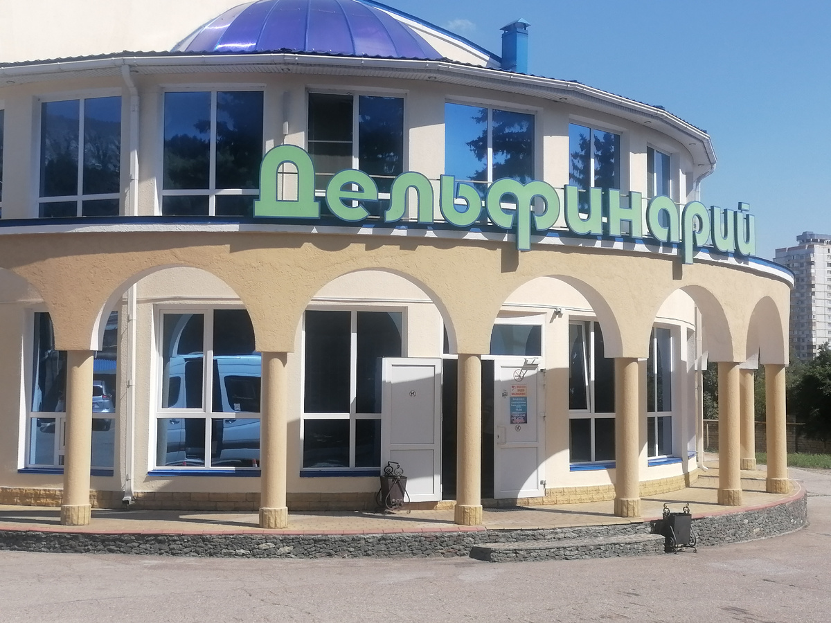 27 июля 2025 года.