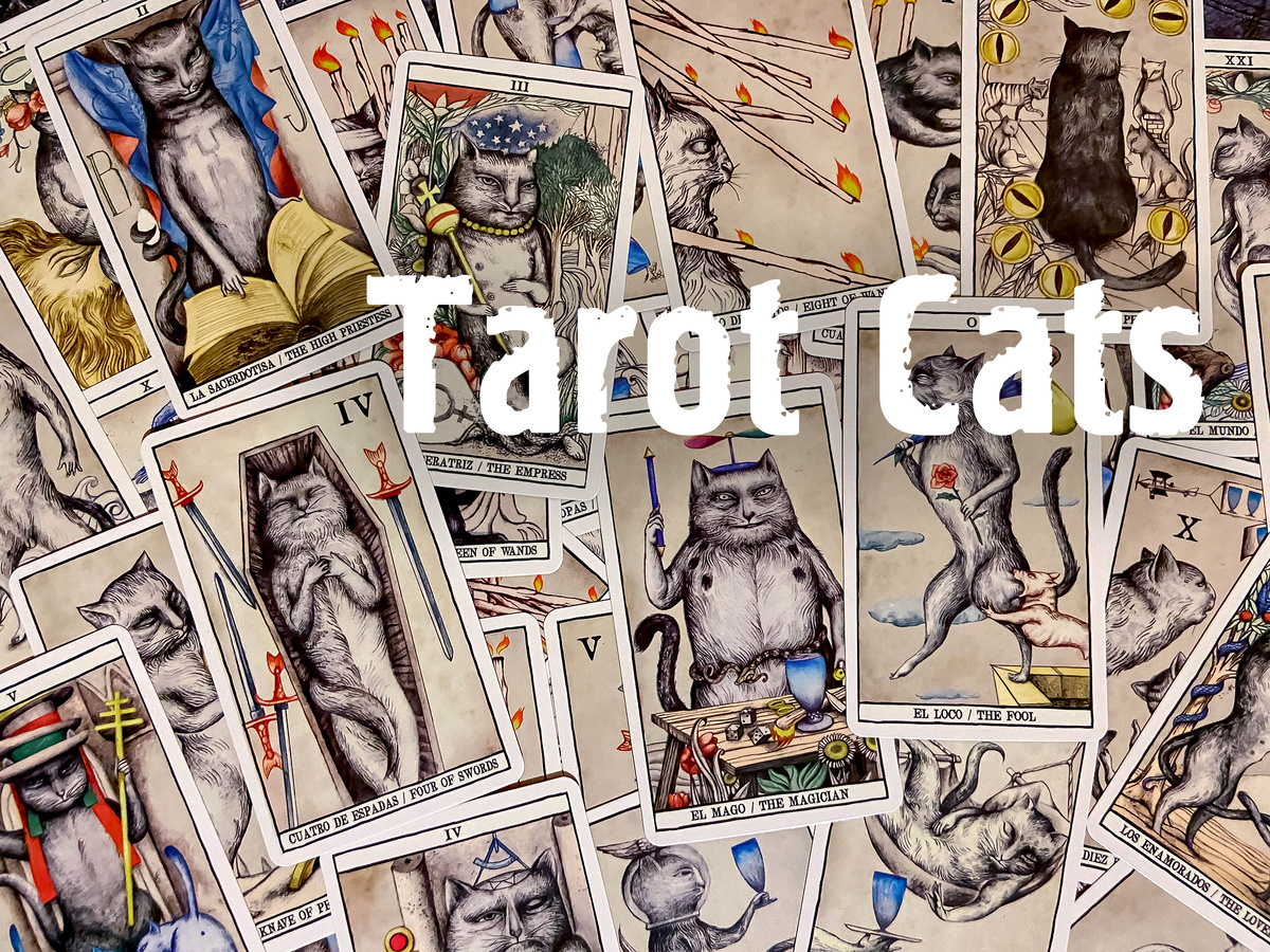 Чтобы изучить любую из картинок на этой странице крупно, нажмите на неё правой кнопкой мышки и выберите в меню "Открыть в новой вкладке" (фото: моё)