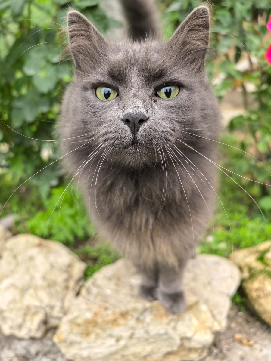 На какое еще море собрался?