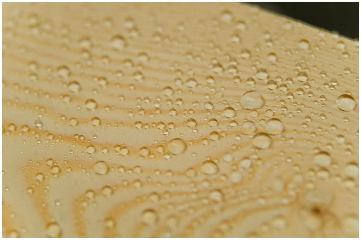 Древесина, обработанная гидрофобизирующим составом