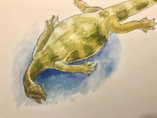 Эоринхохелис. 