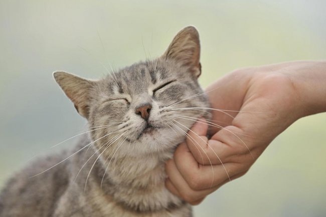    Фото: Michael Weber / imageBROKER.com / Global Look Press