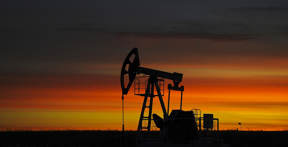 Фото: Максим Богодвид/РИА Новости