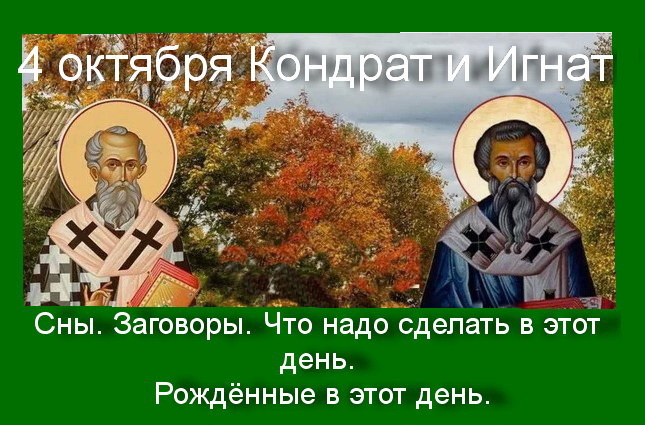 Источник : Яндекс картинки.