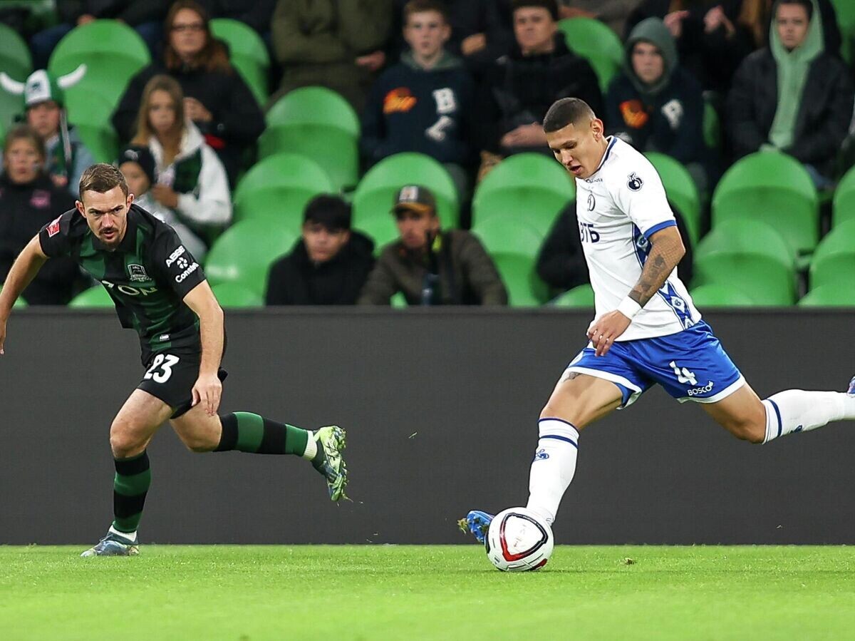    Футбол. Кубок России. "Краснодар" (Краснодар) - "Динамо" (Москва)© РИА Новости / Виталий Тимкив