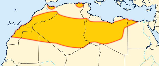 Карта расселения берберов в Северной Африке. Фото из свободных источников в Интернете.