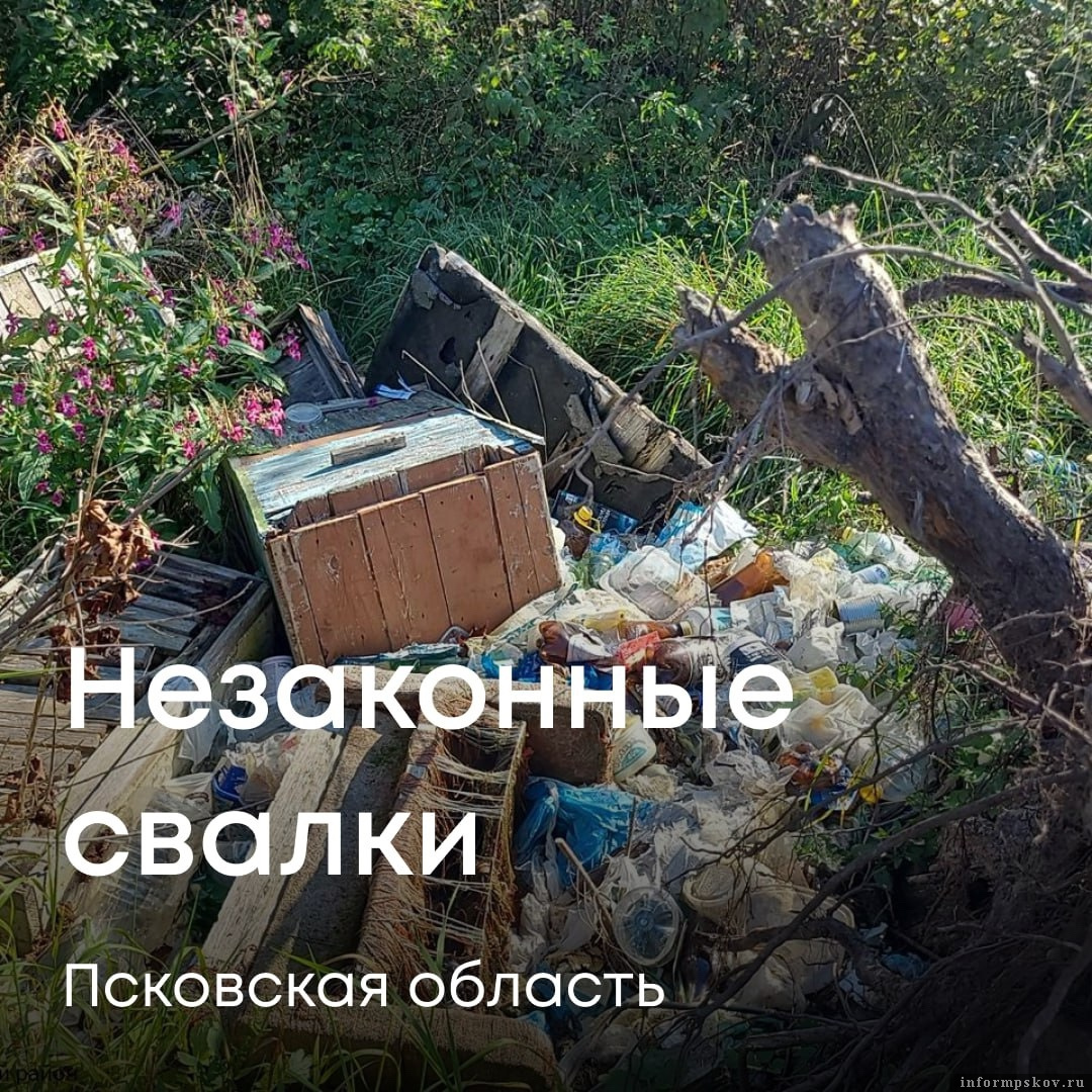 Фото со страницы Светланы Радионовой в соцсети «ВКонтакте»