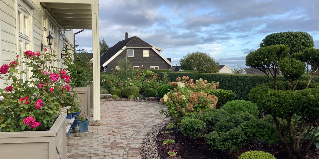 Дела садовые, дела сентябрьские.