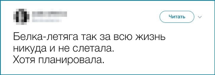 © shorteeki / twitter