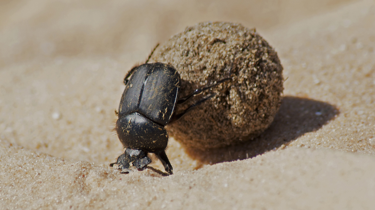 Фото с сайта: http://v922105g.beget.tech/classroom/3231-toaru-majutsu-no-index.html