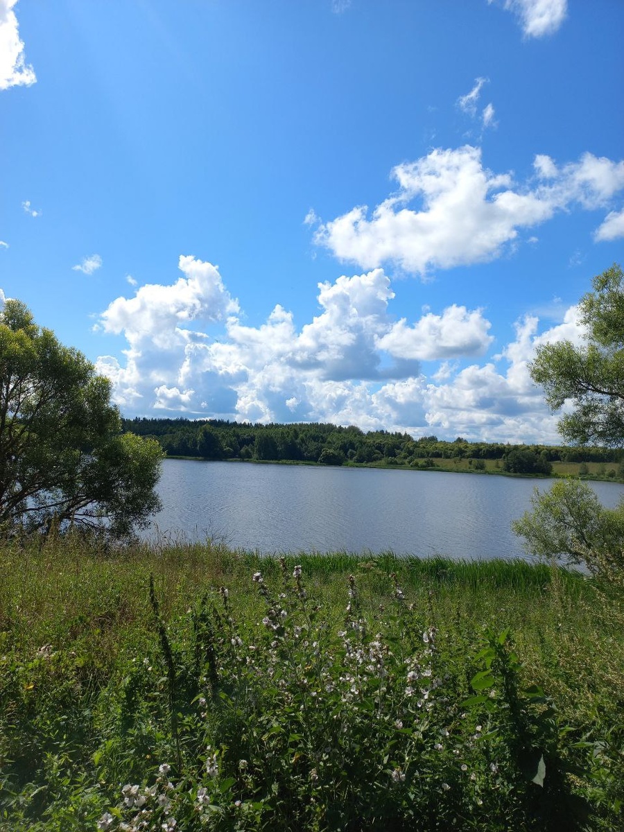 там, где я выросла