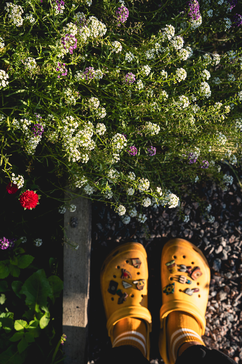 Я у грядки с цветами. Вышла поснимать для вас)