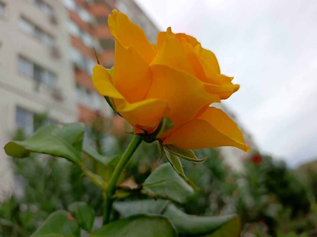 Адлер, октябрь 2025 года