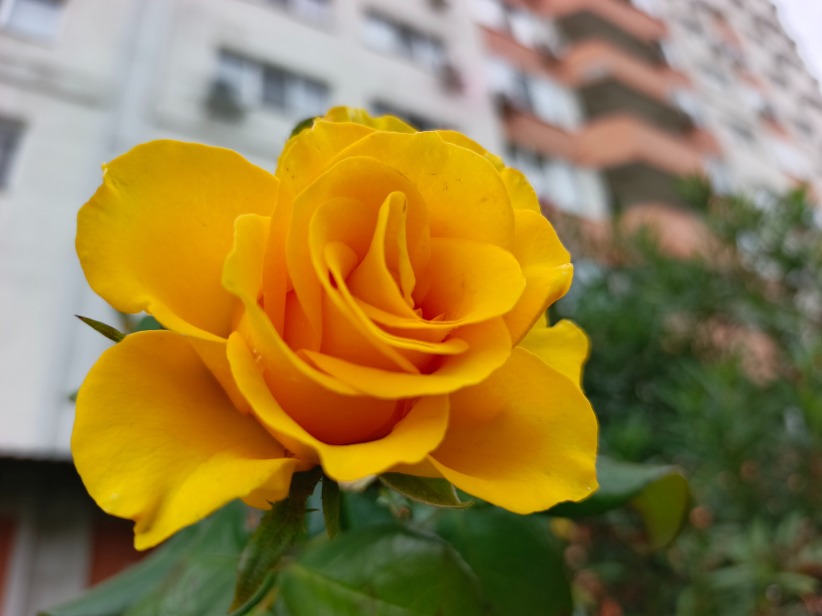 Адлер, октябрь 2025 года