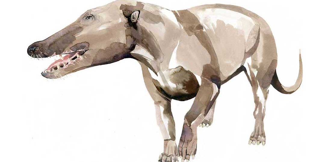 Сказ о том, когда волк мечтал китом стать