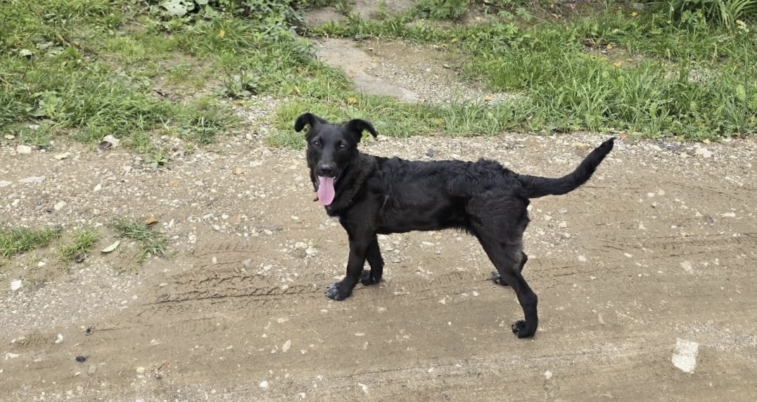 Несколько раз была на самом краю...